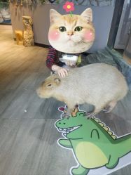 -未来动物城主题公园(正弘城店)