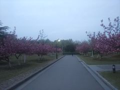 -河海大学(江宁校区)