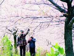 -南山植物园