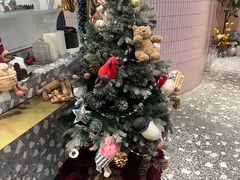 -夏佐CHASEL(横店康庄路店)