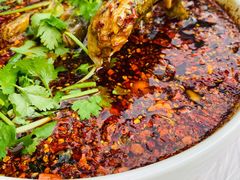 -胖大姐黄辣丁鱼庄(新津店)