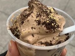 糯糯港奶雪糕杯-喜茶(深圳福田星河COCO Park店)