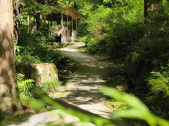 -三千院