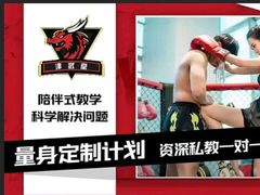 -津武堂散打搏击俱乐部(河西店)