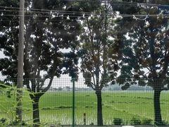 -崖口云吞(中堡店)