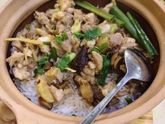 -16年老字号鑫鑫猪肚鸡·椰子鸡海南火锅(兴隆华侨农场店)