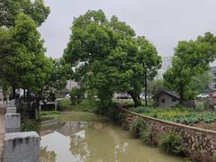 -楠溪江风景名胜区