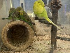 -安徽省地质博物馆