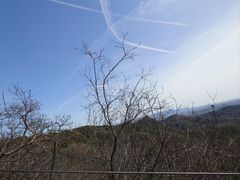 -红螺寺