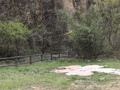-焦作青龙峡风景名胜区