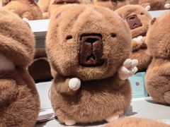 -万达广场(渭南高新店)