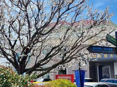 -青岛海景花园大酒店