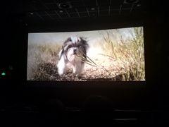 -百美汇影城(LUXE嘉里中心店)