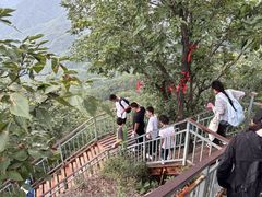 -六里坪国家森林公园