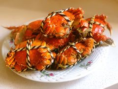 -七的湖·晚芳亭·阳澄湖农家菜·大闸蟹(莲花岛店)