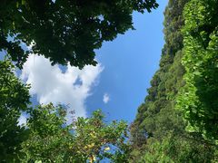 -金鸡山公园
