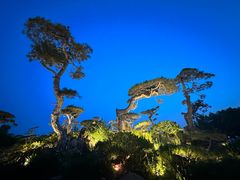 -罗红摄影艺术馆