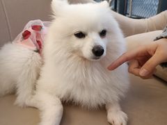 -怪兽屋·羊驼·猫咖·狗咖(俊华广场店)