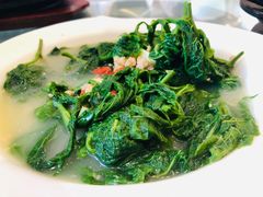 -至潮餐厅精致粤菜·活鲈鱼·走地鸡(珠江新城店)