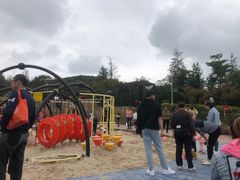 -铁山坪森林公园