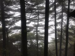 -尧山风景区