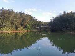 -蜀南竹海景区