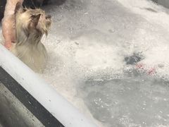 -MOLLY'S萌宠生活馆