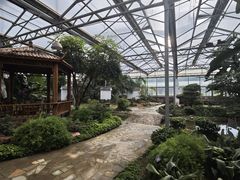 -石家庄市植物园