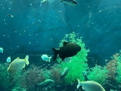 -皇家极地海洋世界-售票处