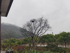 -山水间小院