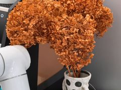 -Sips&Lick茶兰咖啡(五道口店)