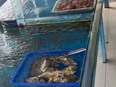 -老太太海鲜城(森林公园任家台店)