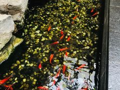 -苏州独墅湖书香世家酒店