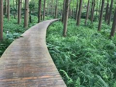 -上海怡沁园度假酒店