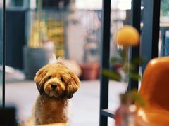 -滇咖啡体验店