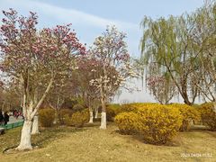 -燕郊植物园