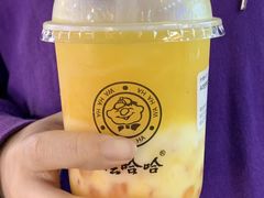 -娃哈哈·奶茶(武林店)
