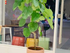 -echoes coffee回响咖啡(红山店)