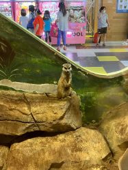 -宝燕乐园(闵行旗舰店)