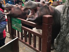-贵州森林野生动物园