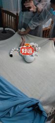 -玛瑞莎·儿童·亲子摄影(越秀店)