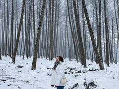 -硗碛藏寨·神木垒景区