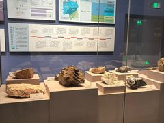 -湖南省地质博物馆