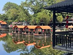 -侨美·唐荔园·40年地道粤菜