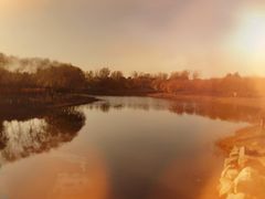 -大兴滨河森林公园