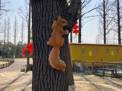 -前小桔亲子创意农场·草莓采摘·露营烧烤
