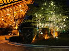 -深圳隐秀山居酒店