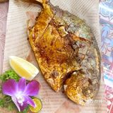 不是我说，这家店的泰国打抛饭做的也太……