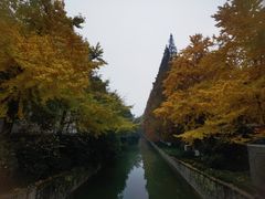 -南宋御街