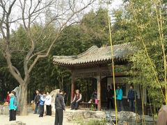 -紫竹院公园冰场